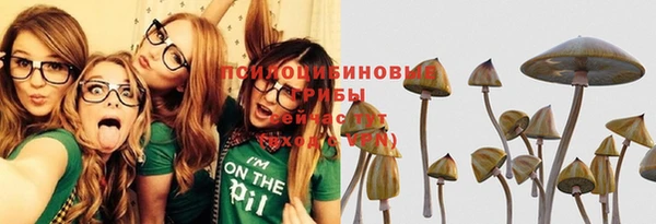 меф Мурманск