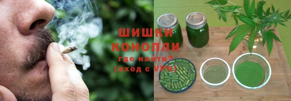 прущие крисы Белокуриха