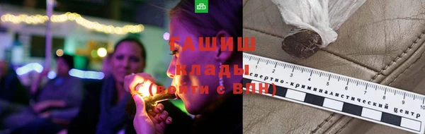 прущие крисы Белокуриха