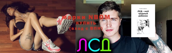 ALPHA PVP Беломорск