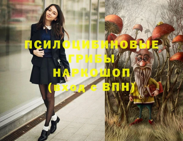 прущие крисы Белокуриха