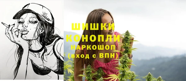 молекула духа Кострома